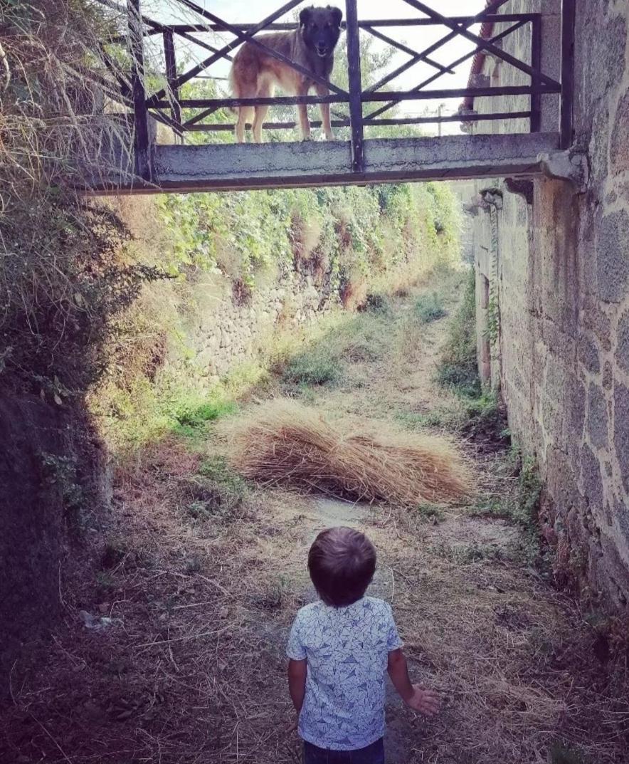 فيلا Casa Da Moiroa Sendim  المظهر الخارجي الصورة