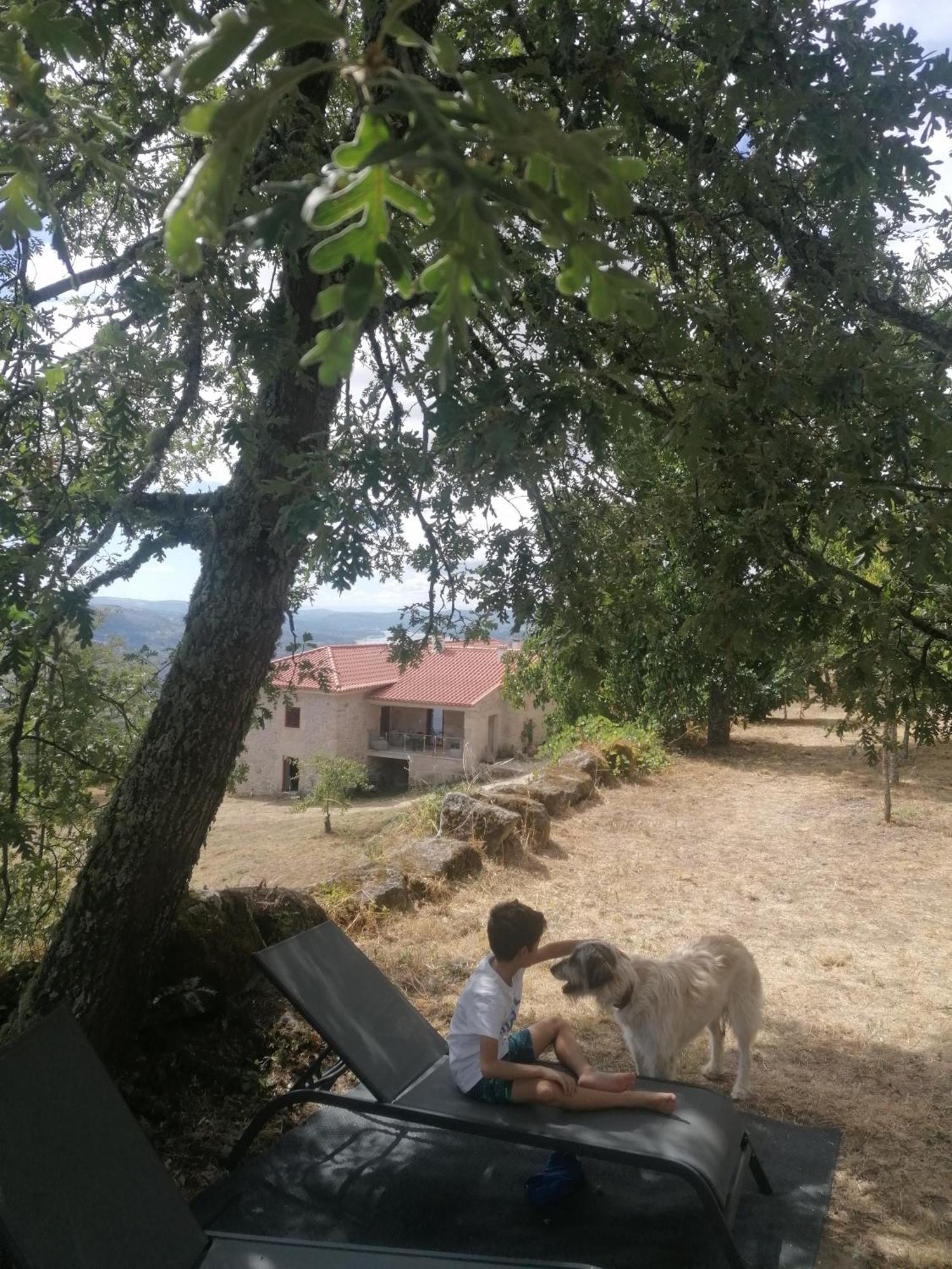 فيلا Casa Da Moiroa Sendim  المظهر الخارجي الصورة